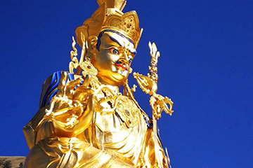 金陵九游体育