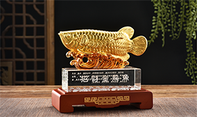 金陵九游体育